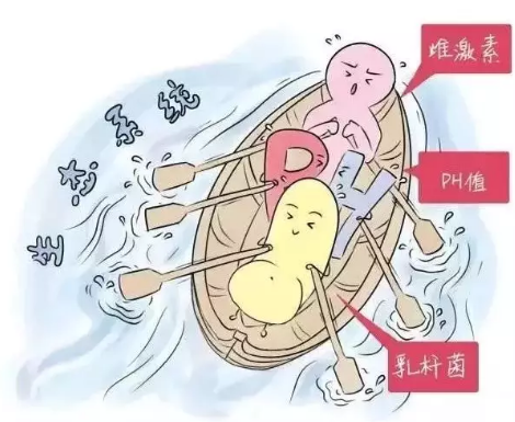 阴道微生态幸福宝APP污版下载厂家解析女性阴道分泌物的奥妙