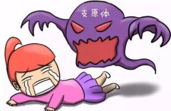 【幸福宝APP白带幸福宝APP最新地址】小讲堂开课了！教您怎么区分下生殖道和上生殖道的疾病？